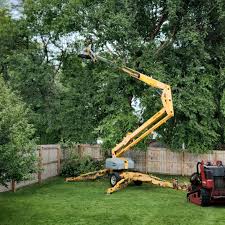 Best Pest Control for Lawns  in Chubbuck, ID
